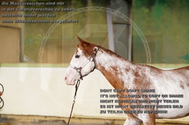 s_K3F06173.JPG